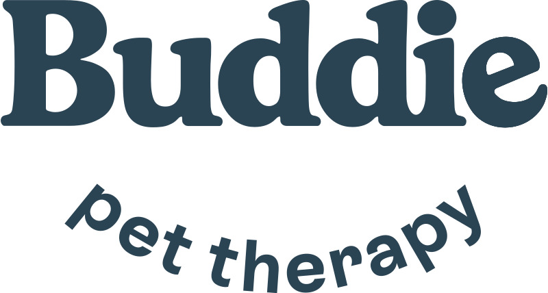 Buddie Therapy logo